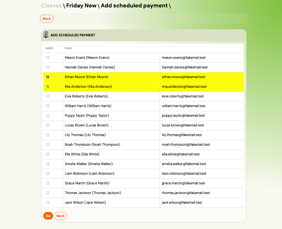 Screenshot — ad hoc scheduled payment