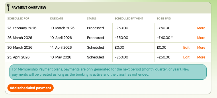 Screenshot — ad hoc scheduled payment