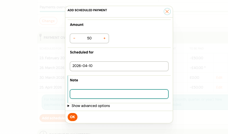 Screenshot — ad hoc scheduled payment