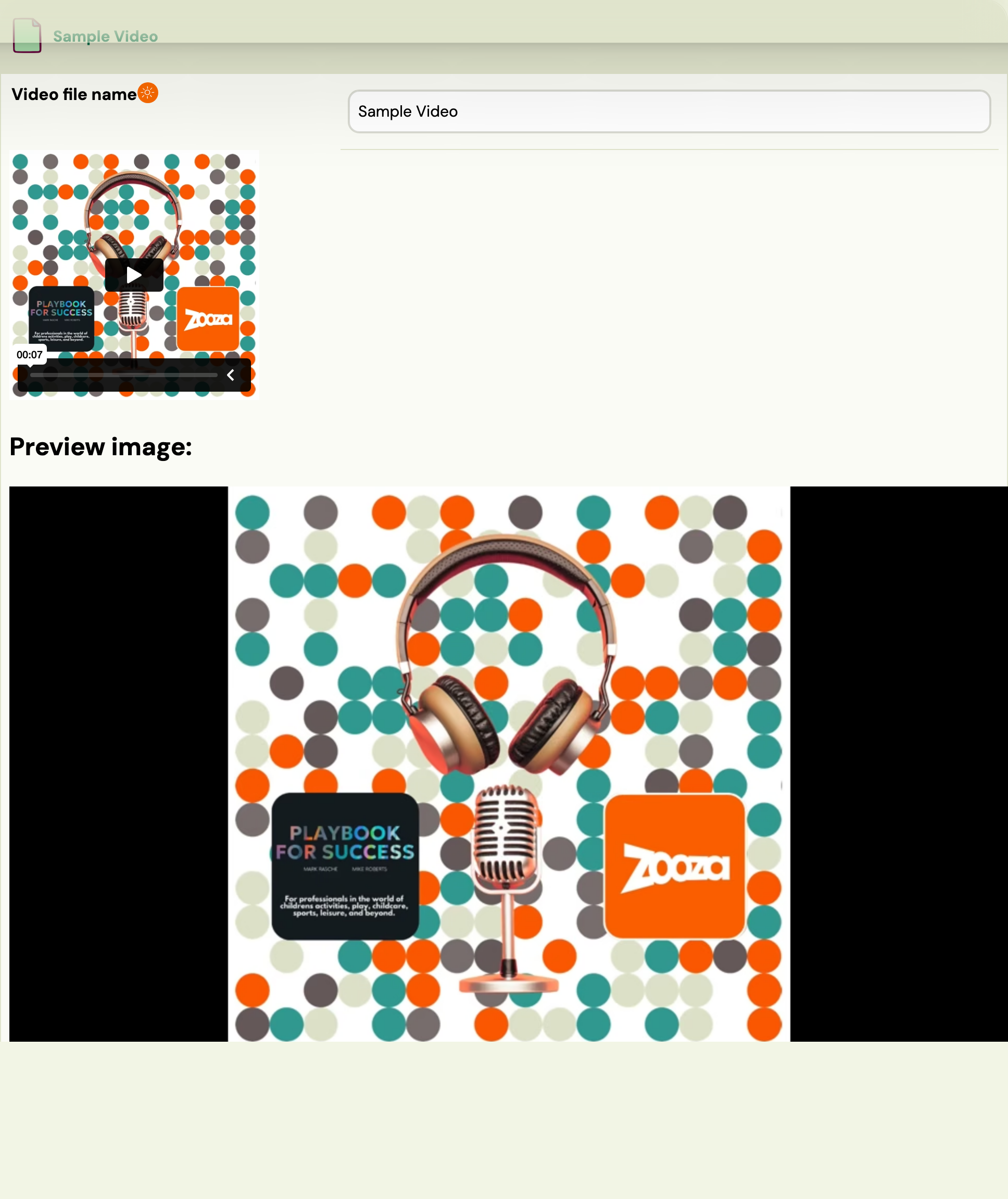 Video detail with the video file name and preview image