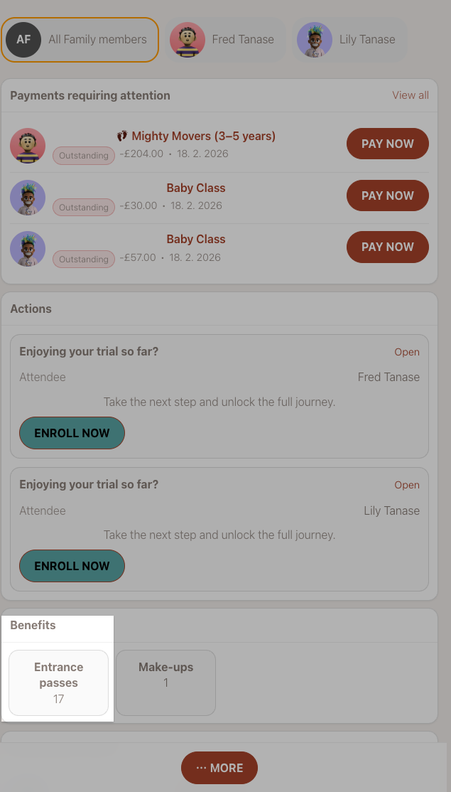 Screenshot — entry pass client view